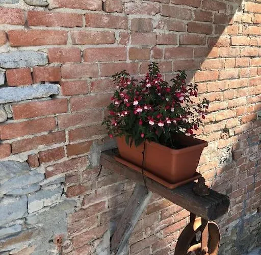 Il Sogno Di Elisa * Калоссо